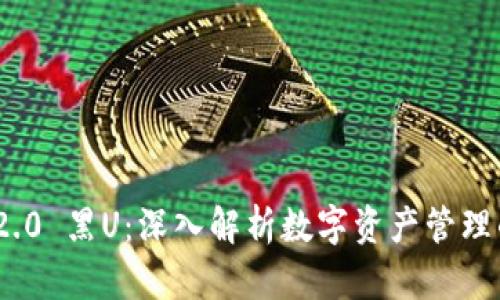 imToken 2.0 黑U:深入解析数字资产管理的创新产品