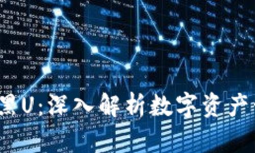imToken 2.0 黑U:深入解析数字资产管理的创新产品