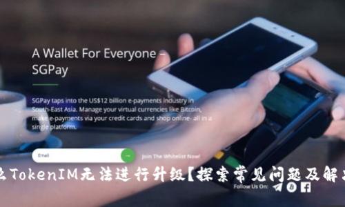 为什么TokenIM无法进行升级？探索常见问题及解决方案
