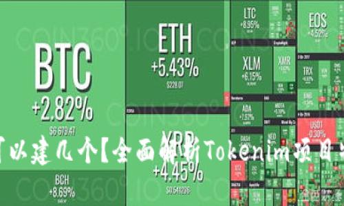 tokenim可以建几个?全面解析Tokenim项目特点与应用