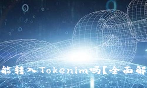 ### UNI币能转入Tokenim吗?全面解析与操作指南