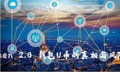ImToken 2.0 钱包U币的真相与风险分析