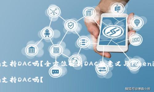Tokenim支持DAC吗？全方位解析DAC的意义与Tokenim的角色

Tokenim支持DAC吗？