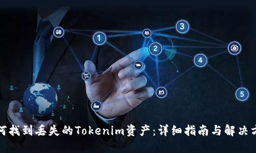 如何找到丢失的Tokenim资产:详细指南与解决方案