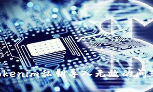 如何解决Tokenim私钥导入无效的问题：全面指南