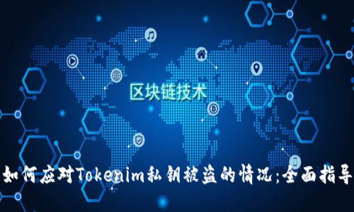 如何应对Tokenim私钥被盗的情况:全面指导