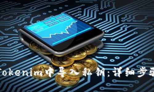 如何在Tokenim中导入私钥:详细步骤与指南