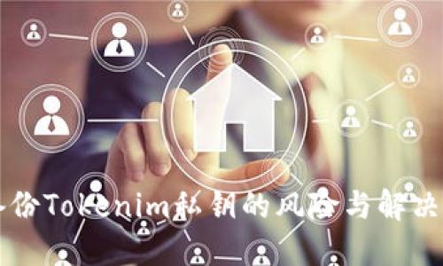 不备份Tokenim私钥的风险与解决方案