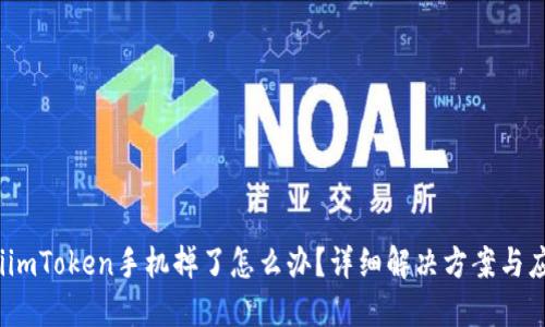 bianotiimToken手机掉了怎么办?详细解决方案与应对指南