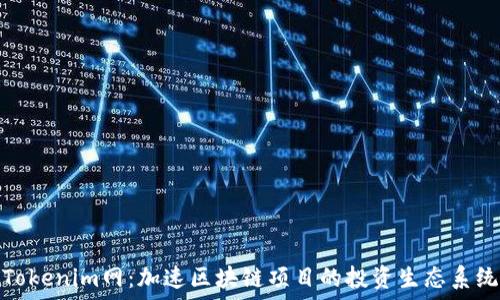Tokenim网:加速区块链项目的投资生态系统