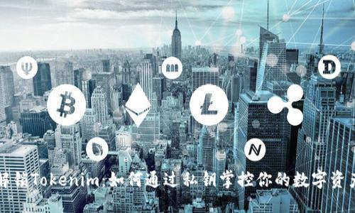 解锁Tokenim：如何通过私钥掌控你的数字资产