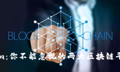 欧意与Tokenim：你不能忽视的两大区块链平台的本质区别