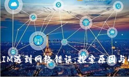 当TokenIM遇到网络错误：探索原因与解决方案