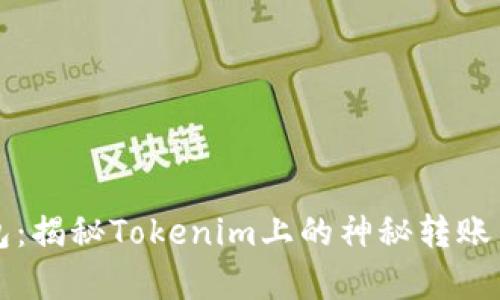 意外的钱包：揭秘Tokenim上的神秘转账背后的真相