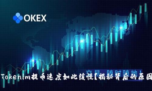 为什么你的Tokenim提币速度如此缓慢？揭秘背后的原因和解决方案