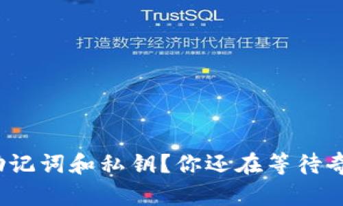 失去助记词和私钥？你还在等待奇迹吗？