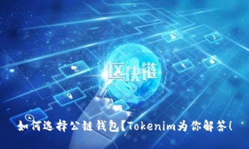 如何选择公链钱包？Tokenim为你解答！