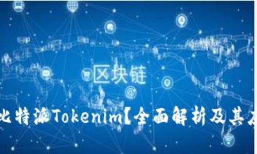 什么是比特派Tokenim？全面解析及其应用场景