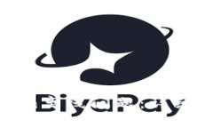 如何解决Tokenim离线问题：详细指南与应对策略