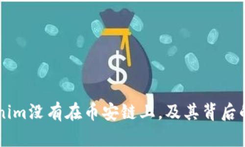 为何Tokenim没有在币安链上，及其背后的原因解析