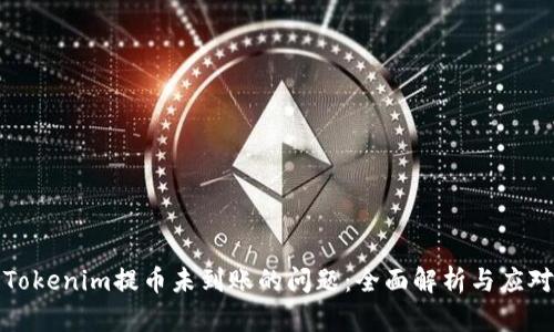 解决Tokenim提币未到账的问题：全面解析与应对措施