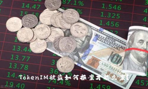 TokenIM被盗如何报案才能立案？