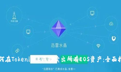 如何在Tokenim上成功卖出所有EOS资产：全面指南