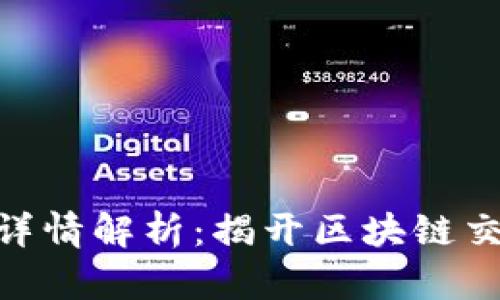TokenIM交易详情解析：揭开区块链交易的神秘面纱