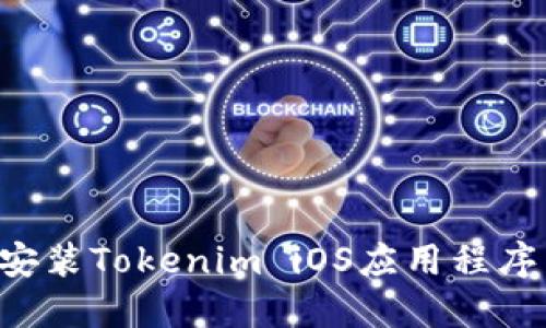如何成功安装Tokenim iOS应用程序：详细指南