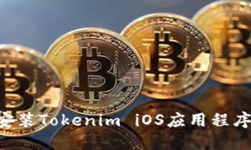如何成功安装Tokenim iOS应用程序：详细指南
